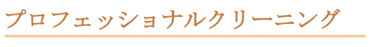 プロフェッショナルクリーニング